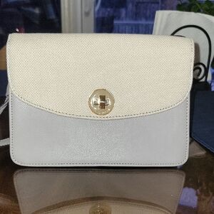 Chic Cream and Gray Crossbody Bag